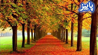 افراد صفراوی مزاج را با این نشانه ها تشخیص بده| به این افراد میگن صفراوی مزاج | مزاج شناسی صفراوی ها