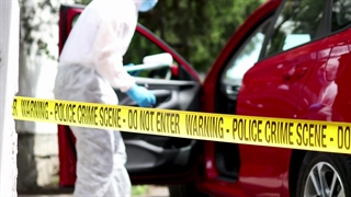 Solve Crimes With Expert Forensic Team and Private Investigator