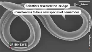 زنده شدن کرم پس از چندهزار سال