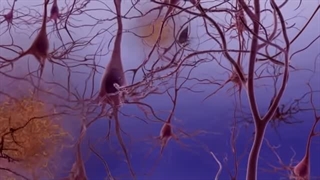 تشخیص و پیش بینی بیماری آلزایمر با استفاده از هوش مصنوعی