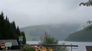 حجت اشرف زاده، نگارم