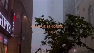 senorita>>>>>>