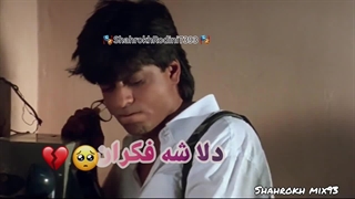 میکس زیب مینگل