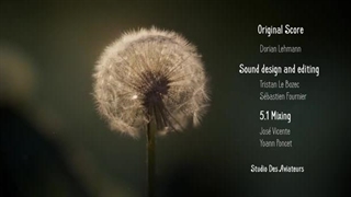 انیمیشن کوتاه «تاب خوردن تا ماه»