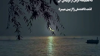 زندگی همچون ....