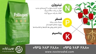 کود ان پی کا چیست و انواع کودها | خرید بهترین کود برای گیاهان