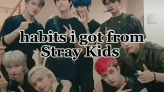 Habits I got from straykids/crazy stay