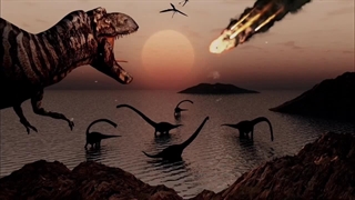 زندگی تمساح ها : 10 تا از جالبترین دانستنی راجع به زندگی تمساح که نمیدانید