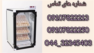 فروش دستگاه جوجه کشی سوپر مینیاتور 168 تایی