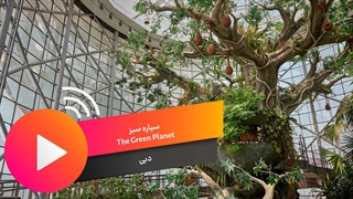 سیاره سبز دبی