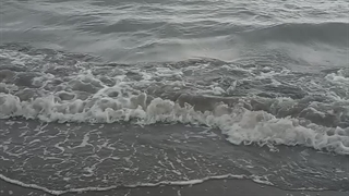 صدای زیبای دریا