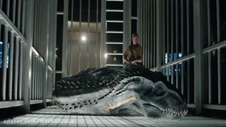 فیلم گریس خشمگین