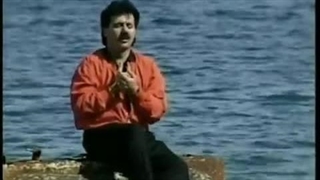 Moein - Bibigol | معین ـ بی بی گل