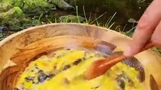 آشپزی در طبیعت | نان و بیکن