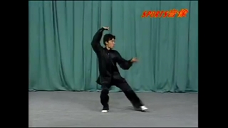 آموزش فرم سنتی سبک پیکوا چوان