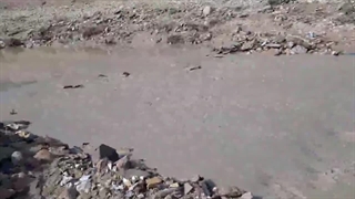 در پی بارش ها سد دهشیخ پر آب شد