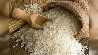 آیا برنج گلوتن دارد؟ افرادی که سلیاک دارن ببینند!