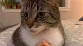 وقته خوابه.. اویاسی می ناسای^_^