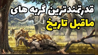 قدرتمندترین گربه های ماقبل تاریخ