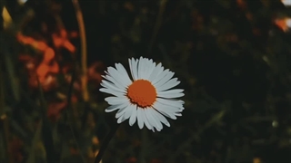 آهنگ ای یاسمن ای یاس من دندانپزشکی کودکان