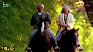 محصولات بایو انرژی آمگا ضد امواج بدن و زندگی سالم