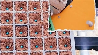 دستگاه های تولید نهال و نشا در گلخانه