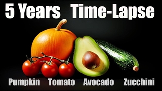 2000 روز فقط در 1 ساعت 