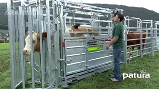 استفاده از فناوری های شگفت انگیز در صنعت گاوداری