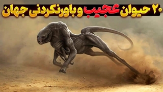 ۲۰ حیوان عجیب بی نظیر جهان را بشناسید