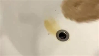 افراد متخصص و ماهر تا تجهیزات پیشرفته