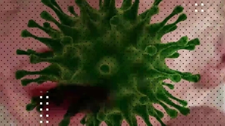 بومی سازی کیت انتقال ژن