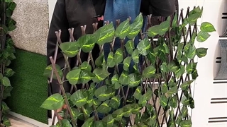 دید تراست رو بگیر