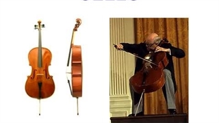 معرفی ساز های مختلف