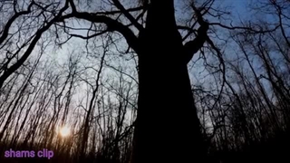 داستان ترسناک پیدایش و سایه های مرموز قسمت سوم