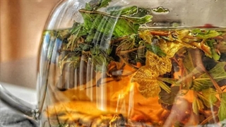 اموزش خشک کردن میخک و نعنا و  انواع گل و گیاه دارویی