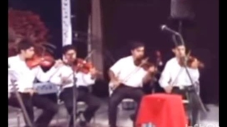 اجرای حرفه ای ویولون