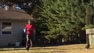 آقبت پرورش مرغ