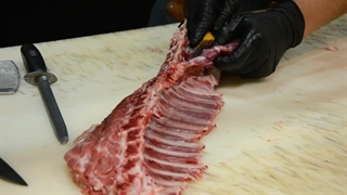 تیزر مجموعه زی خوراک