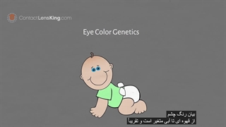 پیشبینی رنگ چشم نوزاد