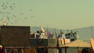 black widow زبان اصلی