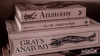 La Vita è bella (Nicola Piovani)  او اس تی سریال زندگی زیباست