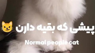 من پیشی خودمونو بیشتر از همه دوس دارم