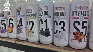 بهترین شامپو سگ - شامپو سگ رداسپرینگ - پت شاپ حامی پت