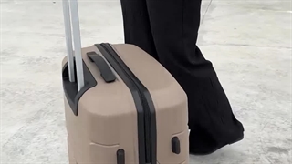 چمدان دیوید جونز