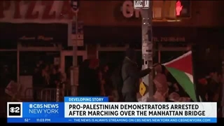 معترضان طرفدار فلسطین پل منهتن را مسدود کردند // پلیس نیویورک دستگیری ها را تایید کرد !!