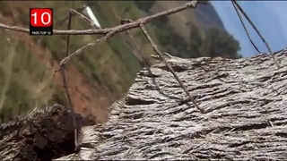 کارایی دستگاه دورکننده موش قوی