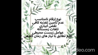 علت میوه ندادن درخت گیلاس