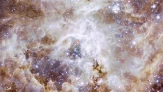 ابعادی که مو بر بدنتان سیخ می کند