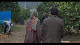 فیلم جنگل پرتقال (کلیک فایلز)