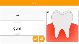 صفر تا صد زبان انگلیسی 31